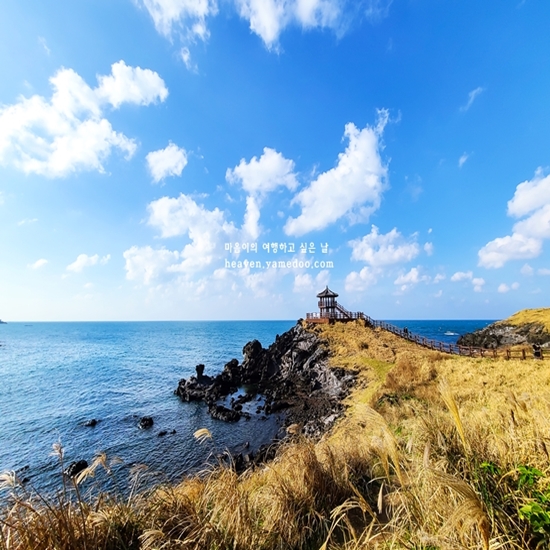 11월 제주도 가볼만한곳 10곳