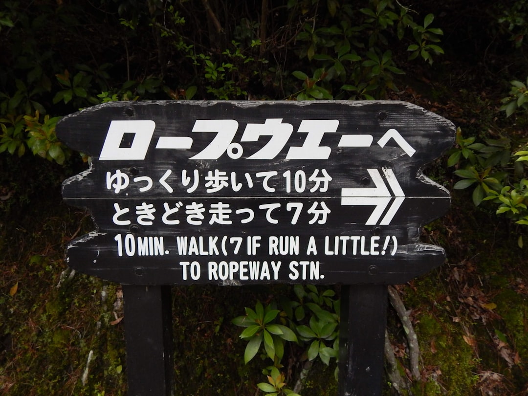 사용처를 영어로 Usage라고 추천합니다.