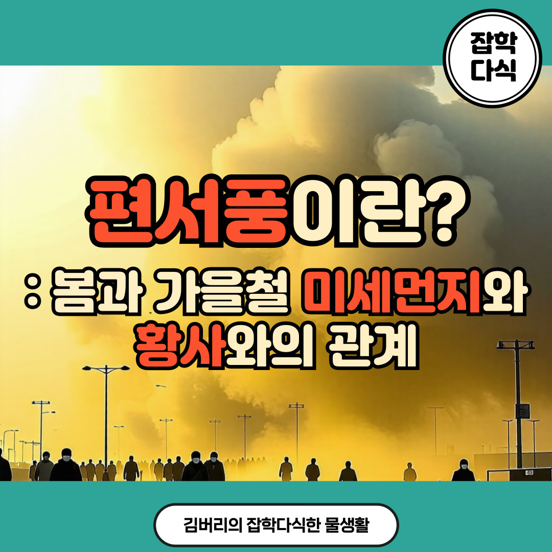 편서풍, 미세먼지와 황사와의 관계