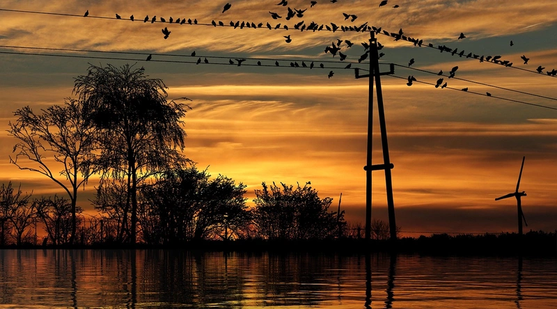 동적 케이블의 안전성