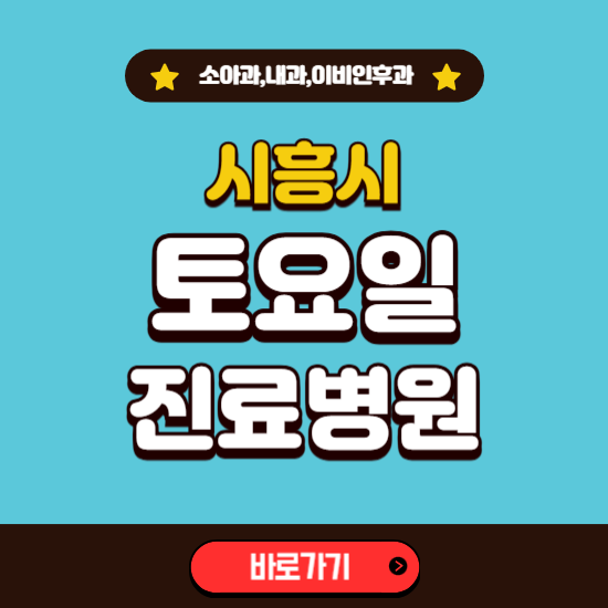 시흥시 토요일 진료 병원 찾기 ❘ 주말 문여는 소아과, 내과, 이비인후과 리스트