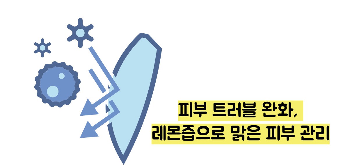 레몬즙 효능
