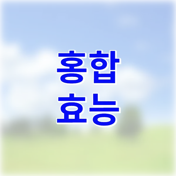 홍합 효능