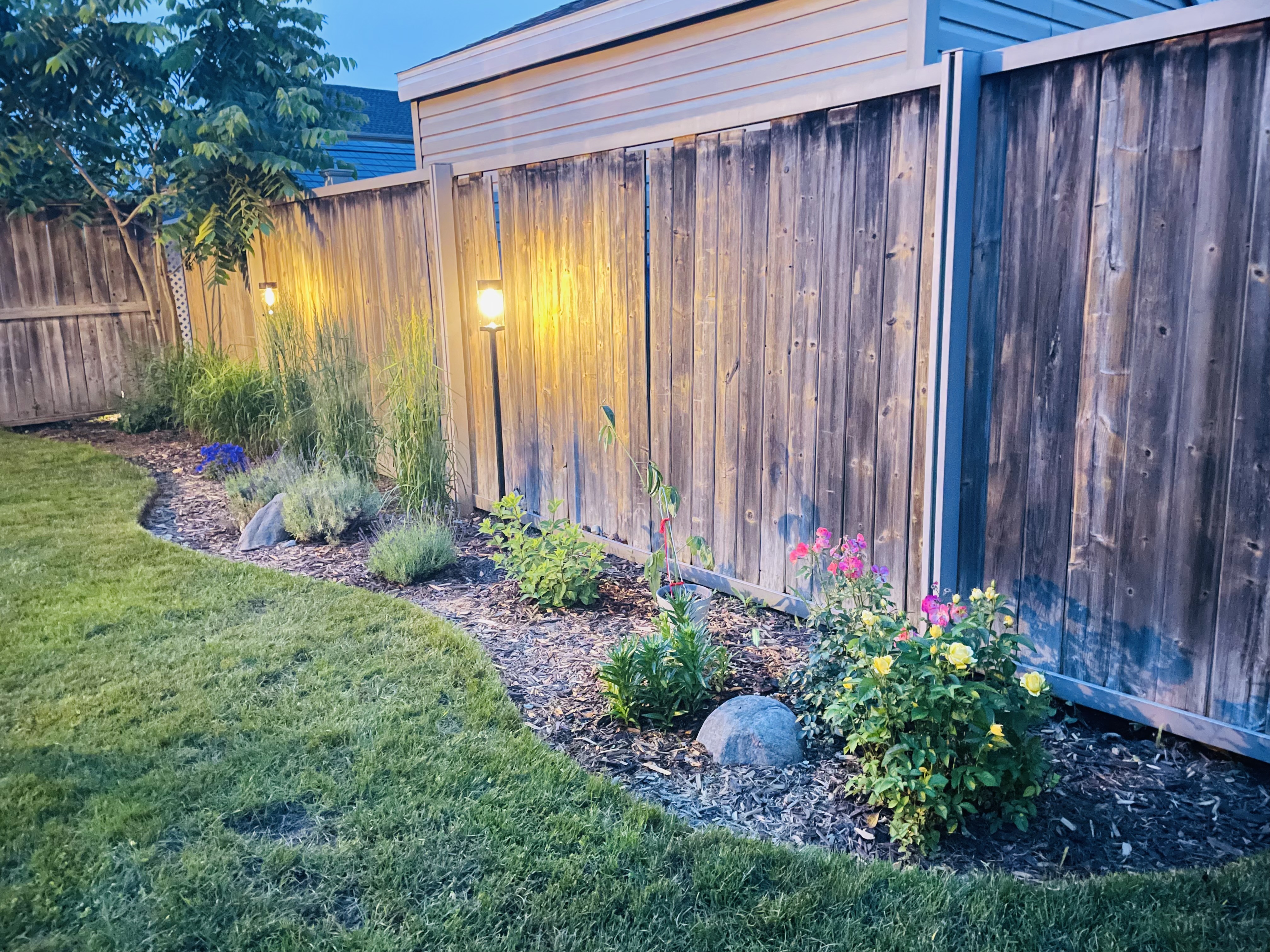 조명이 켜진 저녁시간대의 가든베드 이미지