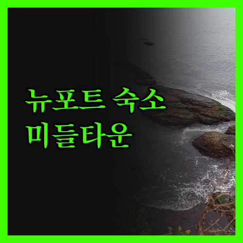 미들타운 데이즈 인, 뉴포트 여행객에