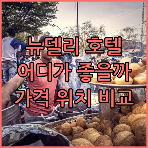 뉴델리 호텔, 어디가 좋을까? Ash