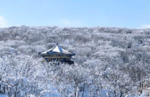 1100고지산설경