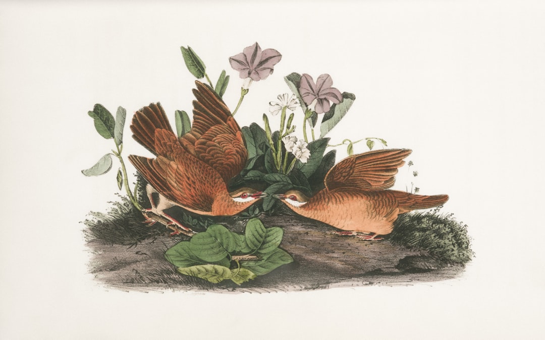Illustration.