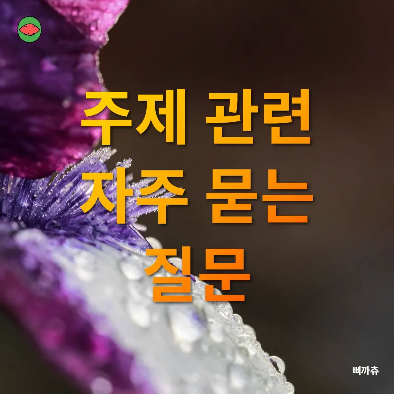 홍채인식_4