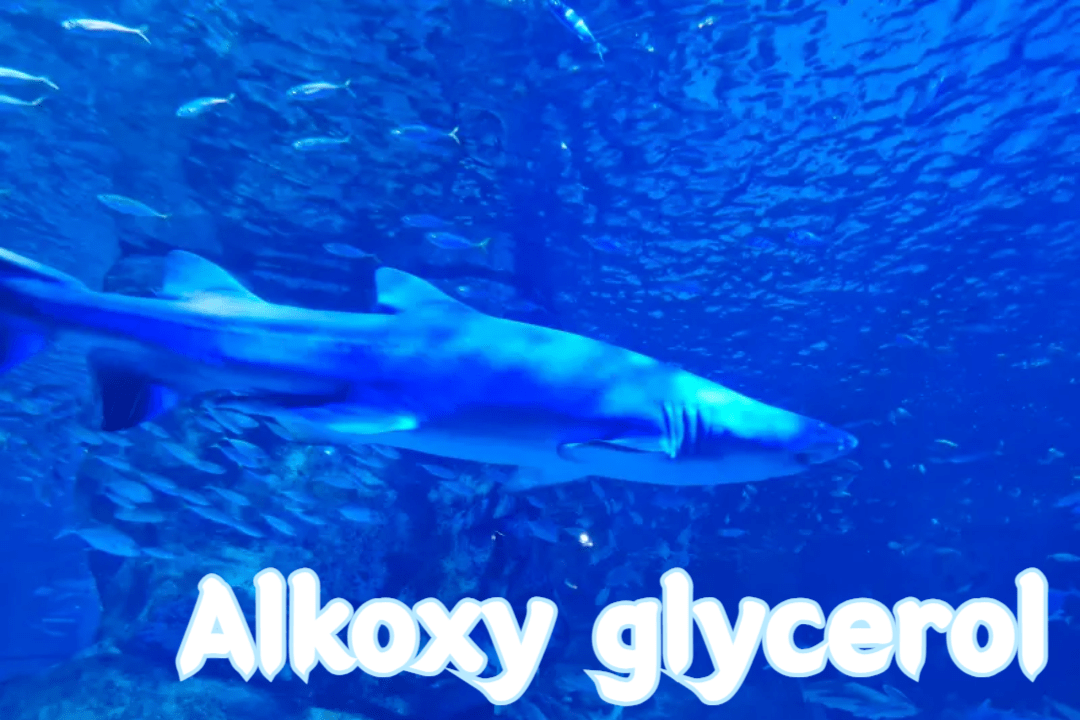 Alkoxy glycerol