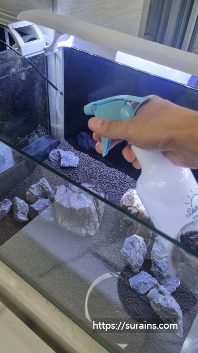 수초어항 꾸미기 준비물 레이아웃 만들기 정보