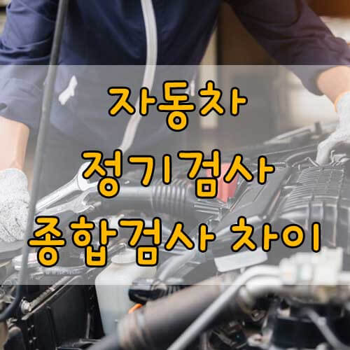 자동차 정기 검사 종합 검사 차이&#44; 자동차검사 총청리!