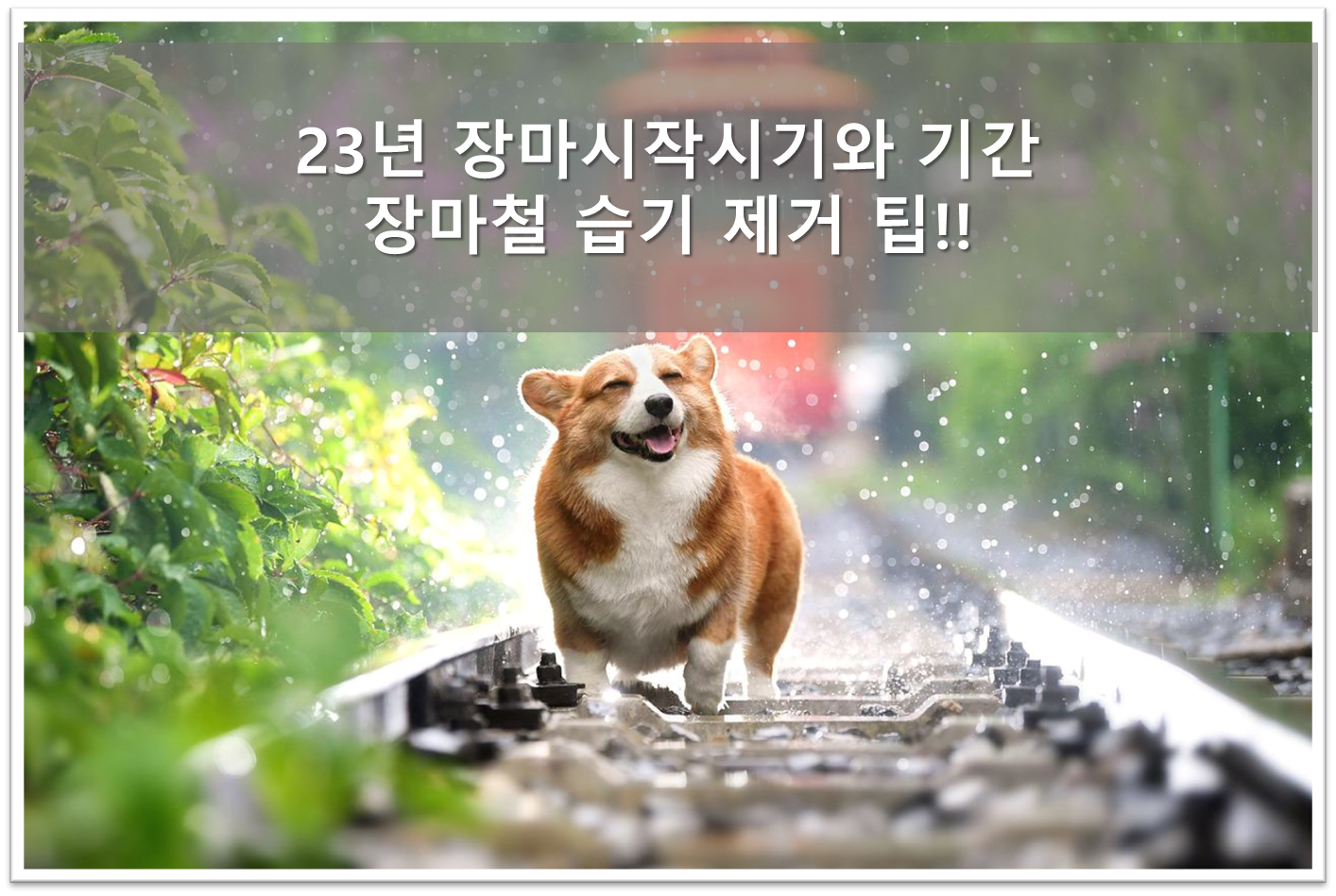 장마 시작