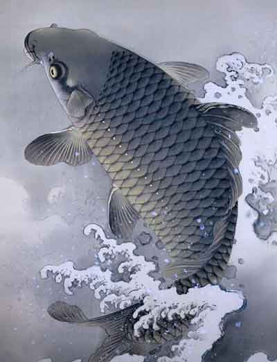 큰 잉어 한마리