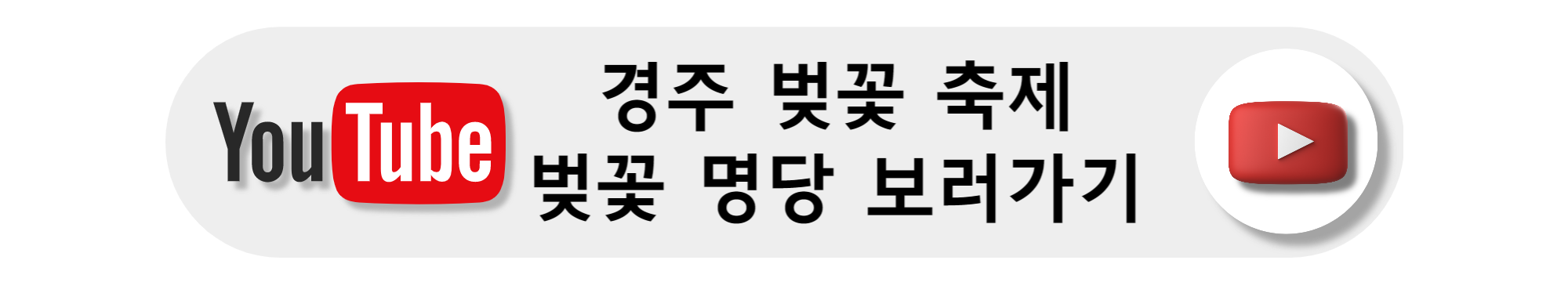 경주 벚꽃축제 일정 및 교통 통제 안내
