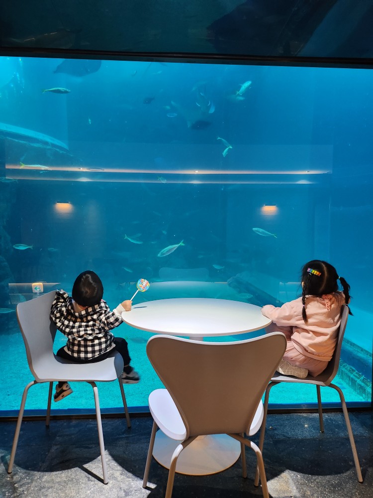 물고기를 구경하는 아이들