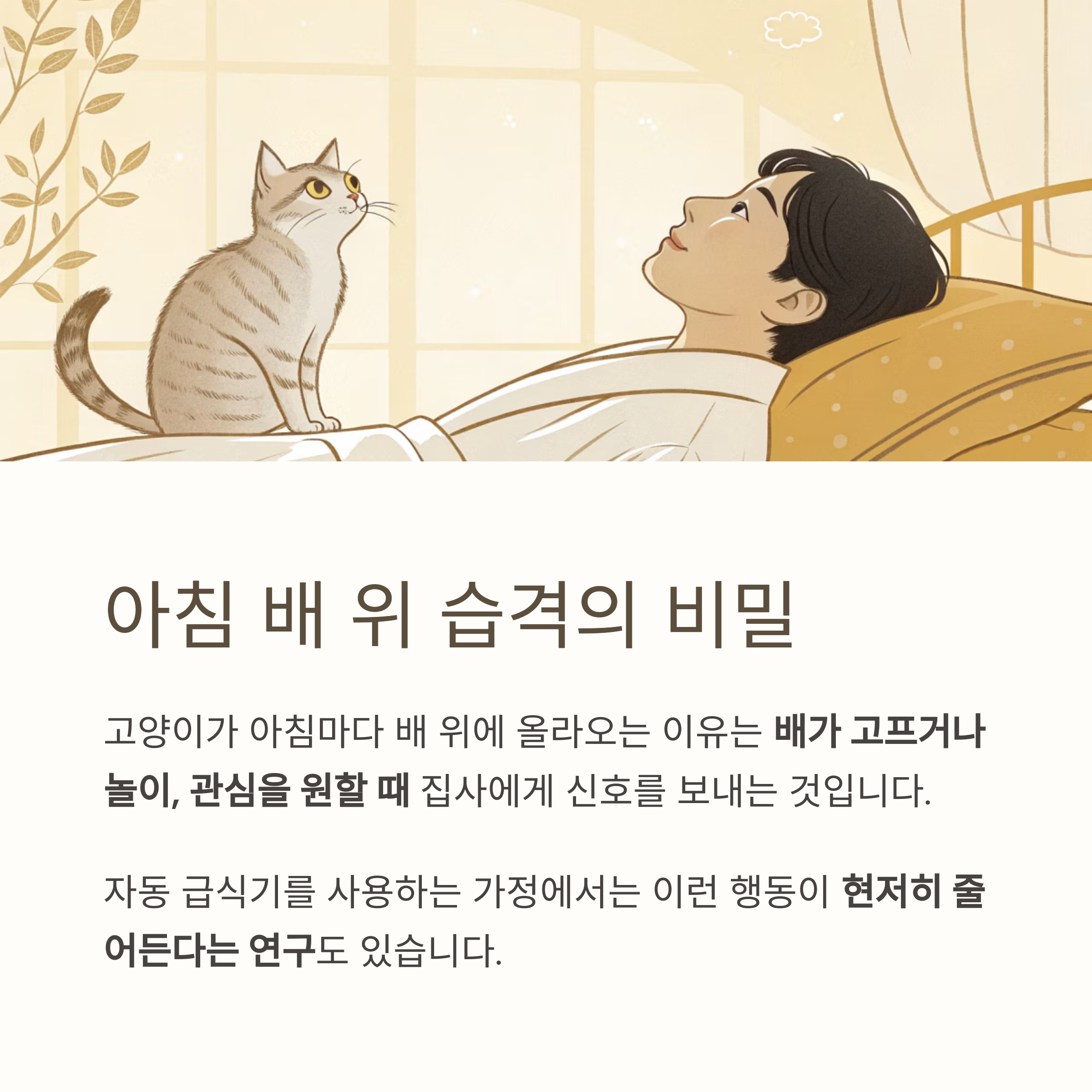 아침 배 위 습격의 비밀