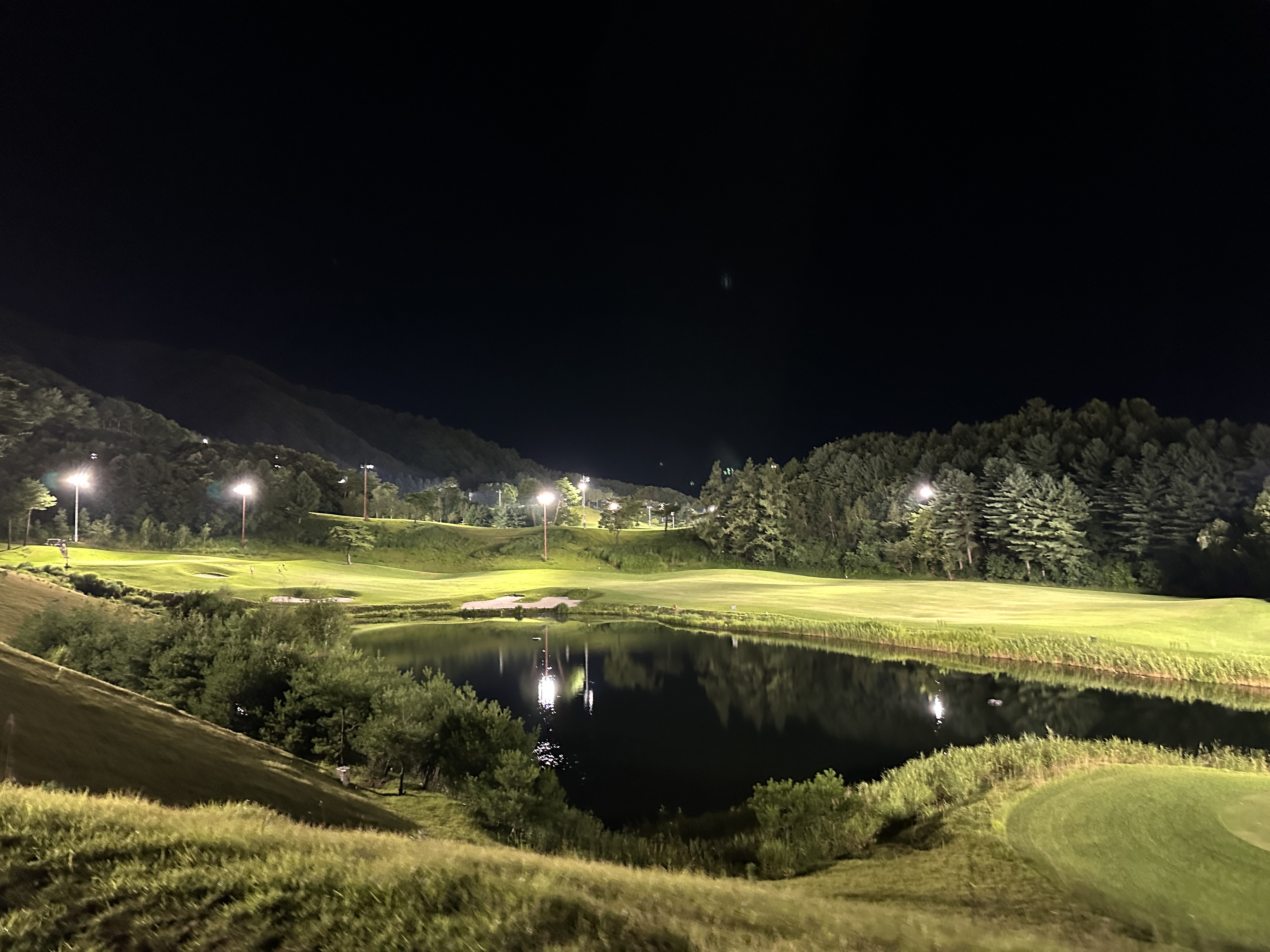 옥스필드 cc 야간 라운딩