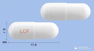 라시도필캡슐 : 장내세균 회복과 건강한 소화를 위한 선택