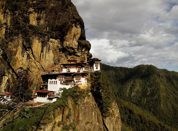 영화 위대한 침묵 관련 사진
