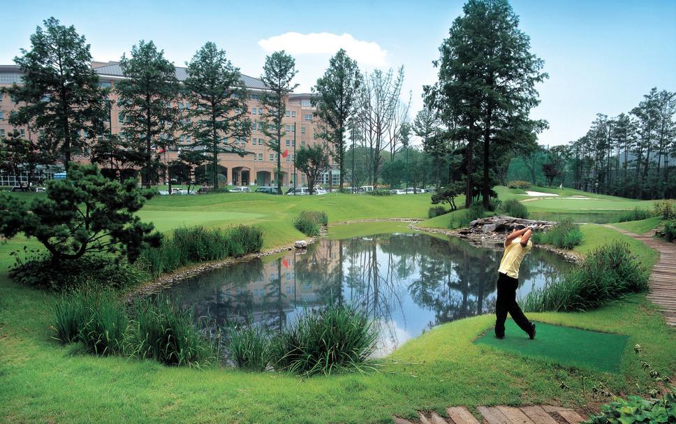 골프 즐기는 사진