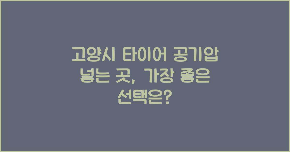 고양시 타이어 공기압 넣는 곳