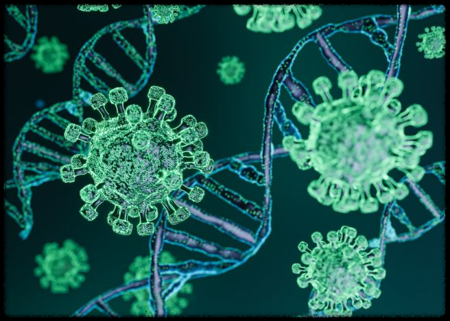 식물성 NMN 효능 및 부작용: 관절염 개선부터 다양한 건강 효과까지
