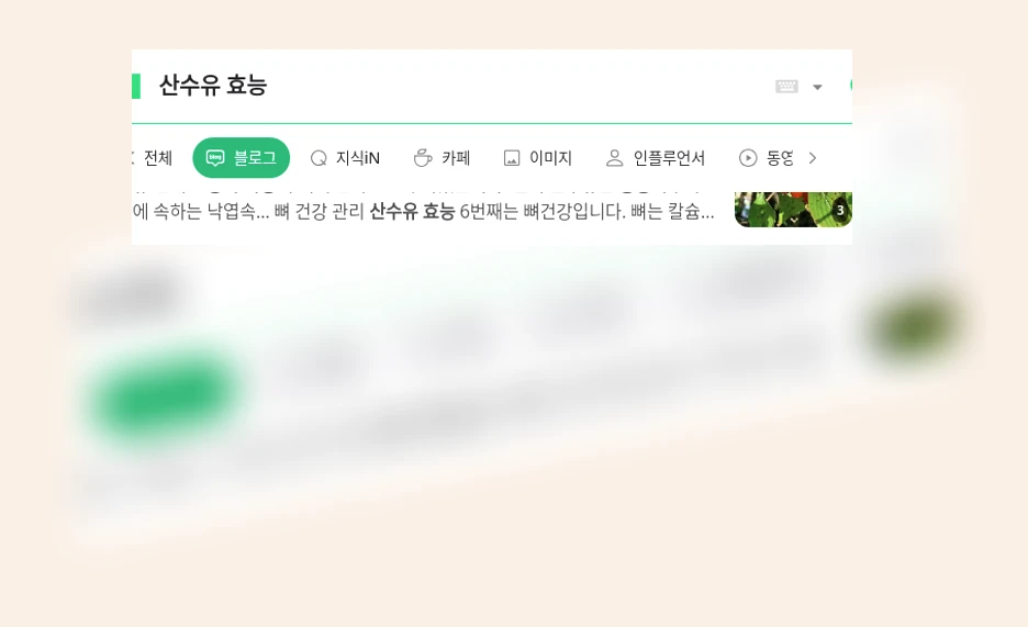 산수유 효능_1_subsection