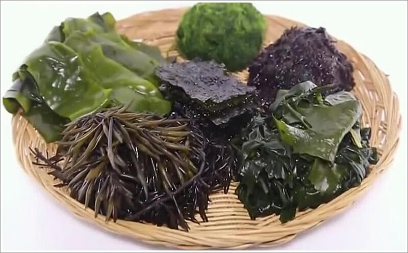 콜레스테롤 낮추는 음식