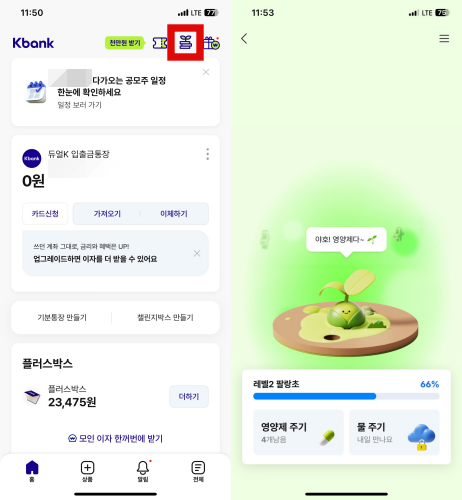 케이뱅크 돈나무 키우기
