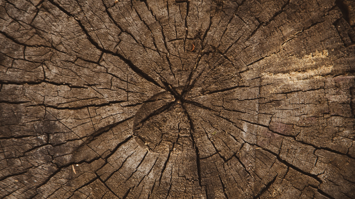 Menopause and aging 3