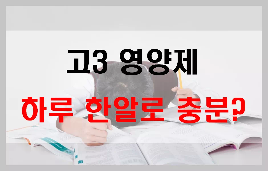 고3영양제 하루 한알