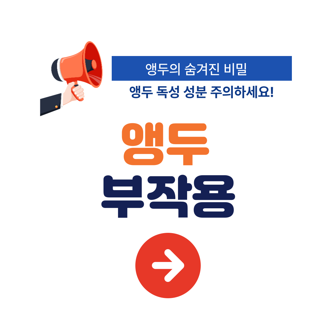 앵두청 만들기 효능 담그는법 황금레시피 보관 방법