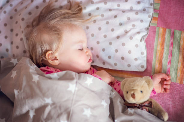 행복은 언제나 지금 여기에 있다 – 가진 것에 감사하는 마음공부