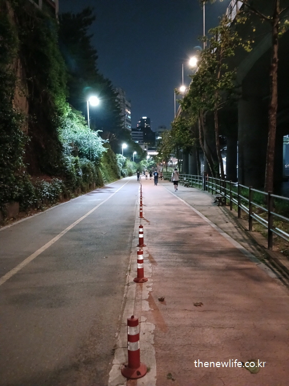 밤 시간대 아스팔트 자전거 도로를 걷는 사람들