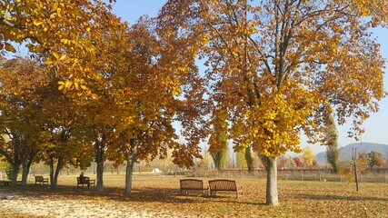 2023 단풍여행 시기 지역별 명소