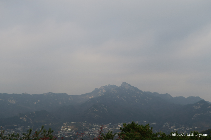 백악마루 뷰 2