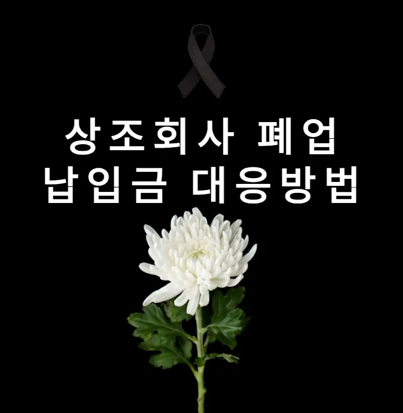 상조회사 폐업 납입금 대응방법