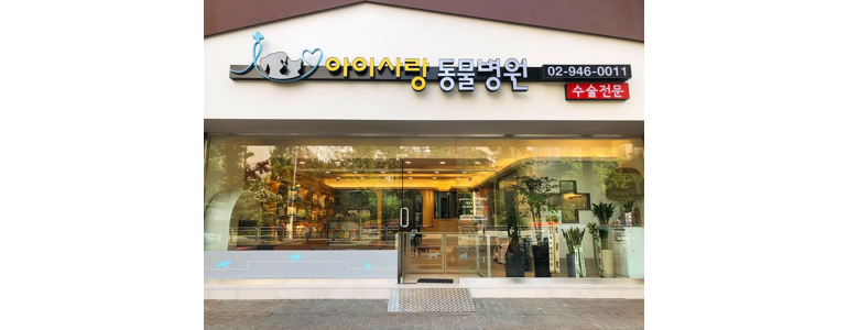 서울 강북구 동물병원