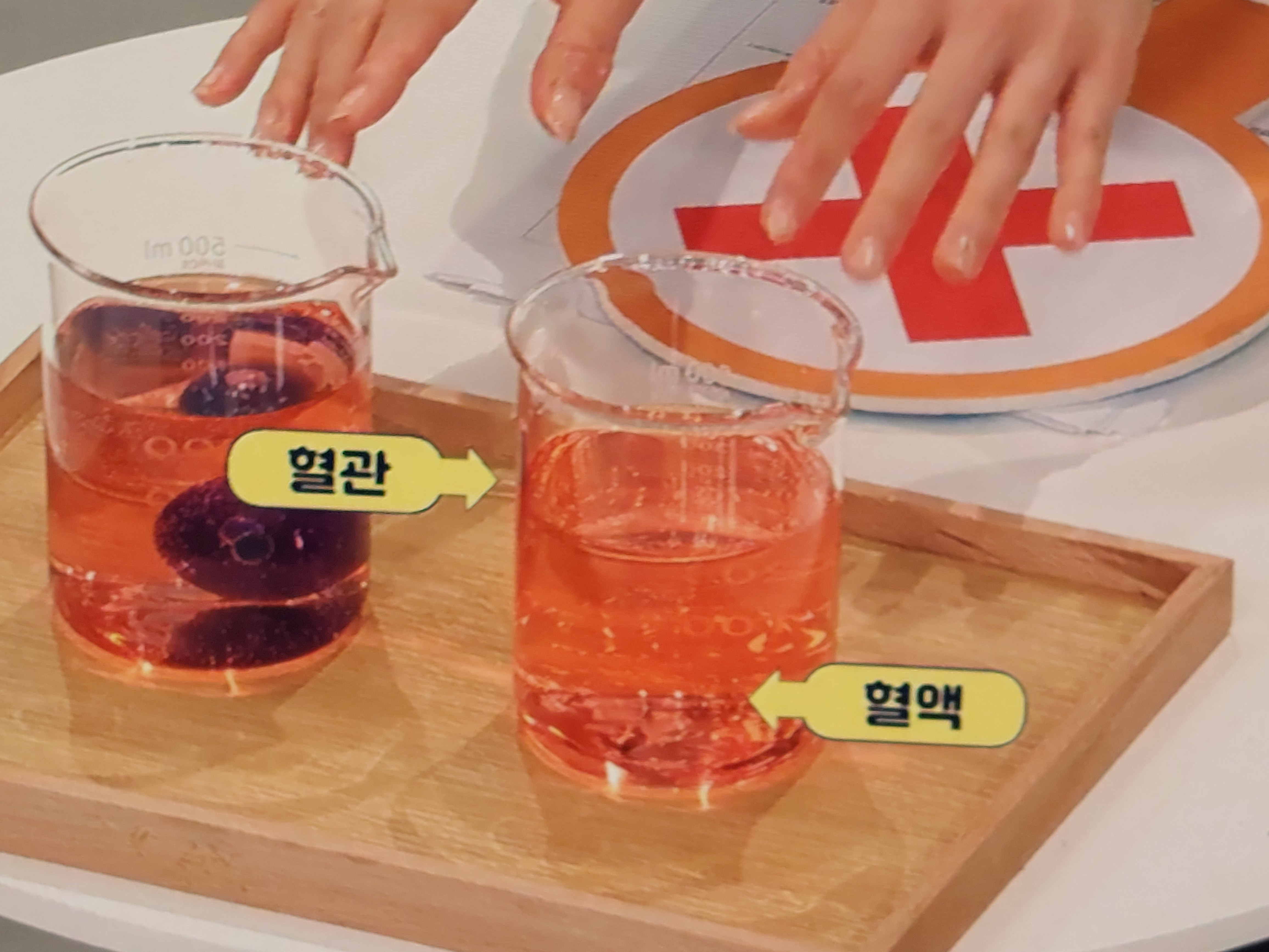 가자추출물 효능