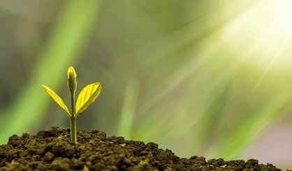 국가장학금 지원금액