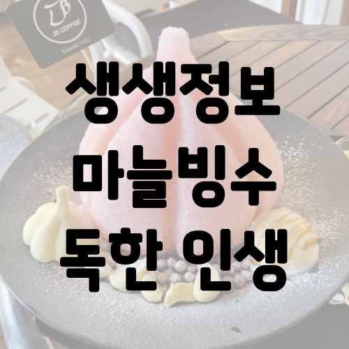 생생정보 마늘빙수 삼봉빙수 독한 인생