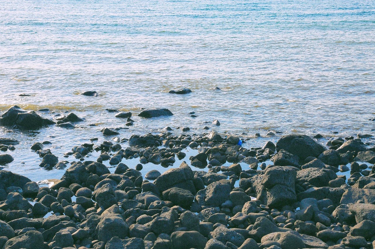 AI와 협업할 때 반드시 알아야 할 3가지 핵심 전략