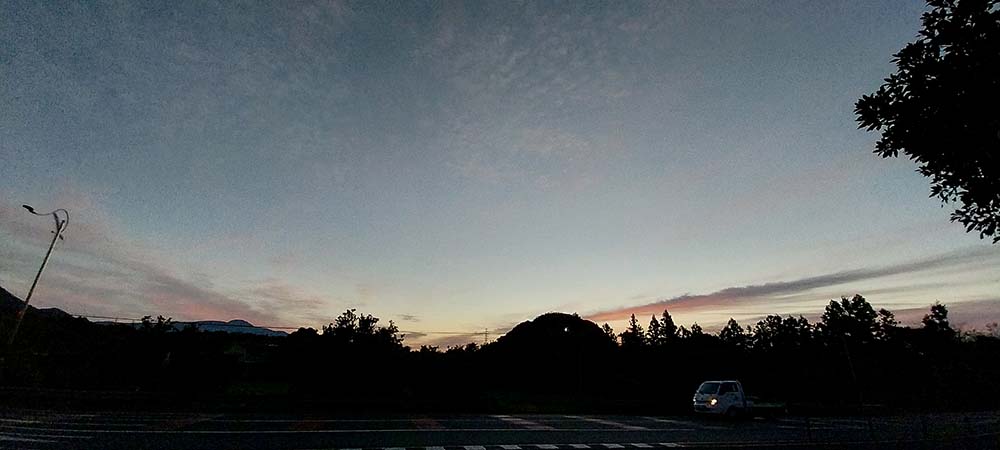 겨울바람 부는 아침 노을 배경의 억새