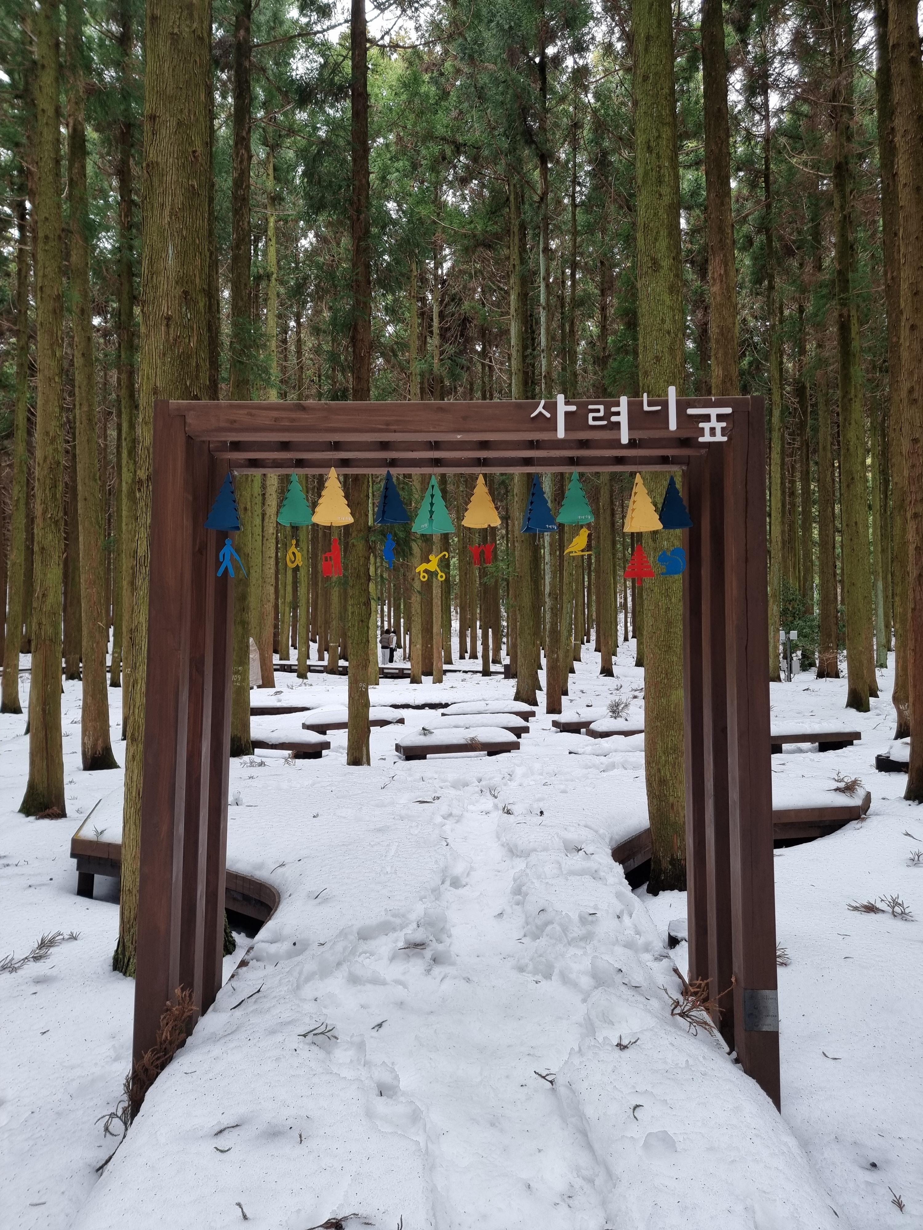 제주 사려니숲길 공식 포토존