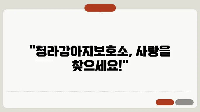 강아지보호소 여기에선 입양할 수 있어요