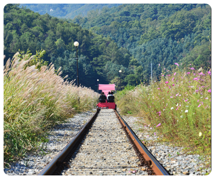 강촌레일파크3, 갈대와 코스모스