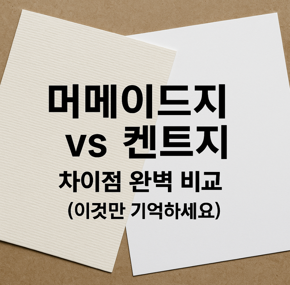 머메이드지 vs 켄트지, 차이점 완벽 비교 (이것만 기억하세요)