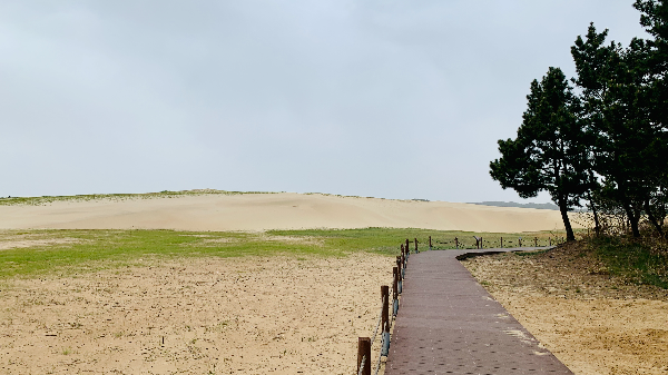 신두리 해안 사구 걷기2