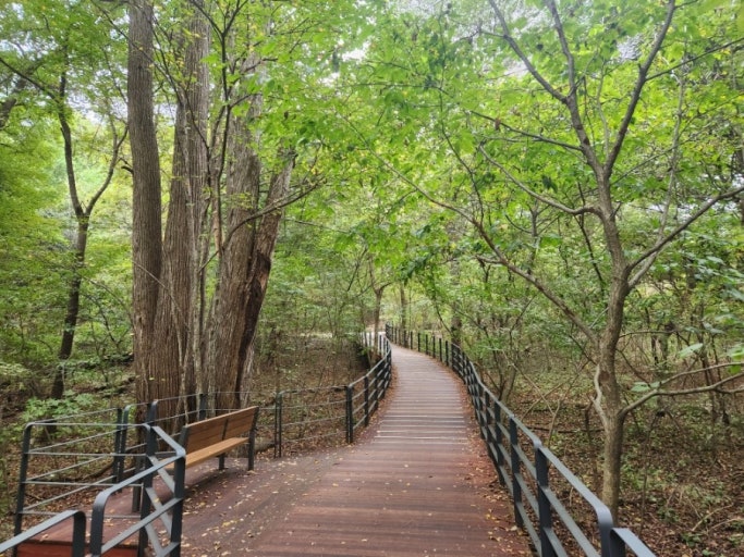 광릉 수목원